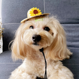Sombrero de paja mini personalizado para perros, con diseño floral tejido, para mascotas, para usar en las cuatro estaciones. - Product Image 2