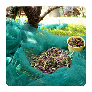 Filets <span class=keywords><strong>de</strong></span> récolte professionnels pour olives, filets <span class=keywords><strong>de</strong></span> récolte agricoles, filet <span class=keywords><strong>de</strong></span> récolte pour olives en <span class=keywords><strong>grille</strong></span> carrée en PEHD 100% traité anti-UV <span class=keywords><strong>de</strong></span> couleur vert foncé - Product Image 4