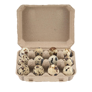 Caja de Cartón para Huevos de Codorniz, Bandeja de Papel para 12 Huevos, Embalaje Ecológico de Bagazo de Caña de Azúcar para Huevos de Codorniz - Product Image 3