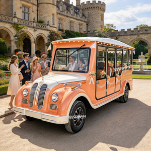Coche Eléctrico Turístico Vintage Resistente a la Intemperie: Excelente Experiencia de Conducción para Servicio en Atracciones Turísticas y Jardines - Product Image 1