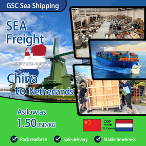 Китайский агент по доставке из Гуанчжоу от двери до двери двойной Клиренс пакет Netherlands LCL + Экспресс-служба грузоперевозок - Product Image 1