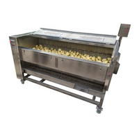 Multifunctionele Borstelrolmachines Voor Het Wassen En Schillen Van Aardappelen Groente Fruit Zoet Nieuw Product 2020 Verstrekt Wasfruit