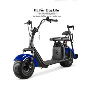 Good Price Citycoco 60V 1500W 2000W 12Ah 20Ah Battery E Self-Balancing Fat Tire Electric Golf Scooter