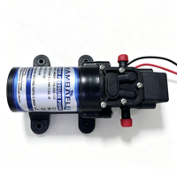 Pompe à eau à diaphragme auto-amorçante 12 V CC pour camping-car, bateau, yacht, caravane, camping-car, 1,0 GPM, 3,8 LPM, 40 PSI