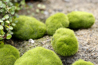 Simulation de pierres de mousse Micro paysage pelouse prairie décoration Mini artificielle flocage pierre Miniature fée ornements de jardin