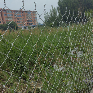 Cường độ cao ngoài trời Chuỗi liên kết trang trại hàng rào CuộN cỏ hàng rào Trường Sân chơi an ninh mạ kẽm kim cương dây lưới hàng rào - Product Image 2