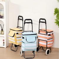 Chariot de courses pliable d'extérieur, type autoportant, avec poche isotherme, multifonctionnel, peu encombrant, portable, pour les courses alimentaires