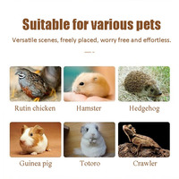 Boîte d'alimentation de poulet en rutine en bois massif incubateur spécial Luding Cage de Hamster pour animaux de compagnie petite maison Villa