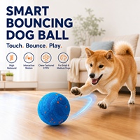 Balle électrique pour chien à haute adhérence avec structure ETPU et ABS pour un jeu autonome et la libération quotidienne de l'énergie à la maison