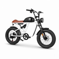 Vélo électrique d'entrée de gamme 500W 48V 15AH, pneus larges 20 pouces, idéal pour les débutants, usage quotidien, moteur sans balais pour les trajets urbains