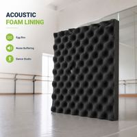 Boîte à œufs durable avec doublure en mousse acoustique pour l'insonorisation des studios de danse