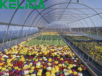 Serre en plastique de 30 x 10 m à vendre, taille personnalisée, serre agricole