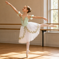 Jupe tutu de ballet pour adultes, costume de performance professionnel, robe de ballerine sans manches en polyester et tulle pour femmes, robe de danse de scène, coupe trapèze