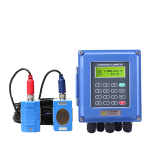 Débitmètre ultrasonique numérique portable étanche Flexim DMW200 à fixation murale, type module agricole à faible coût, 4-20 mA - Product Image 6
