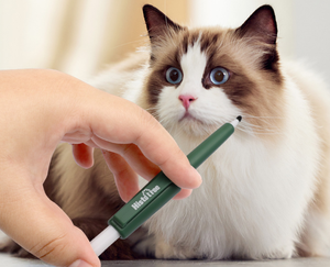 Stylo anti-tiques <span class=keywords><strong>pour</strong></span> animaux de compagnie, outil de capture d'insectes <span class=keywords><strong>pour</strong></span> animaux de compagnie - Product Image 3