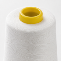 Fil de polyester 6 brins 20/6 blanc brut pour la fermeture de sacs industriels