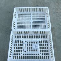 Cage de transport pour volailles, boîte de transport pour poulets de chair et poussins, en treillis métallique noir, maille à haute efficacité, application en tissage plat
