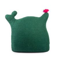 Lit pour chat en feutre de laine, style bohème tropical, en forme de cactus, écologique, lavable, abri pour animaux de compagnie fait main en forme de plante, taille et couleur personnalisables, mignon