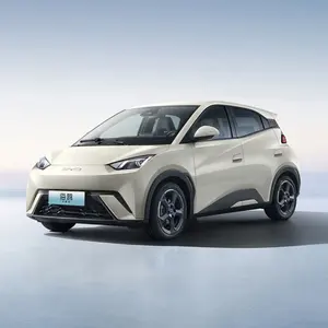 Import New Byd Seagull Flying Electric Cars From China