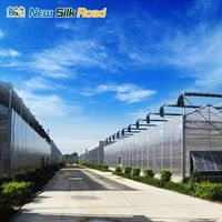 Serre agricole multi-chapelles Nsr de grande taille avec système hydroponique et toiture en polycarbonate