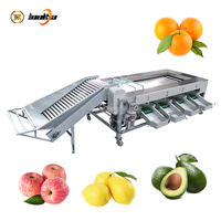 Industriële automatische sorteermachine voor avocado's, sinaasappels, citroenen en appels; fruit- en groentesorteerapparatuur.