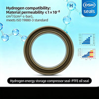 Joint d'étanchéité PTFE pour station de ravitaillement en hydrogène, pour compresseur H2, diaphragme, piston haute pression 700 bars, résistant à l'usure