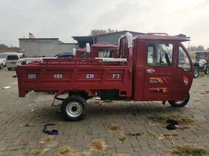 Triciclo con motor de gasolina de nuevo estilo, motocicleta Popular para adultos, triciclo de carga de gasolina de 175 Cc <span class=keywords><strong>200</strong></span> 250 Cc - Product Image 5