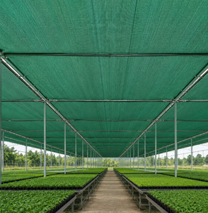 <span class=keywords><strong>Malla</strong></span> de sombreo de HDPE tejida verde con ojales <span class=keywords><strong>para</strong></span> jardín, invernadero y valla - Product Image 1