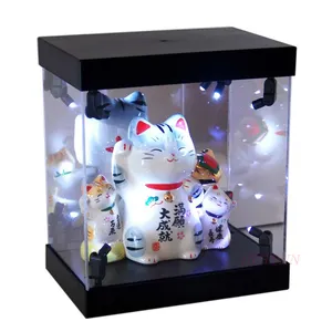 Illuminated Plastic Collectible Display Show Case Removable Acrylic LED display case
