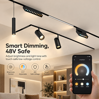 Module LED Magnétique Intelligent à Intensité Variable RGB en Alliage d'Aluminium, CRI 90 Élevé, 23mm, Modules Spot Linéaires, Contrôle par Application, pour Villa et Appartement