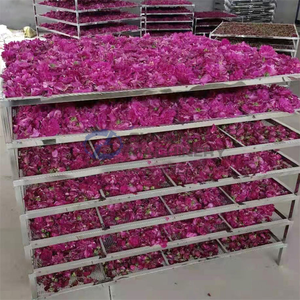 ห้องอบแห้งดอกไม้ระบบความถี่แปรผัน สำหรับแปรรูปชาดอกไม้ ห้องอบแห้งดอกกุหลาบอัจฉริยะคุณภาพสูง - Product Image 5