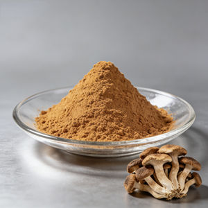 Extracto de Hongo <span class=keywords><strong>Armillaria</strong></span> <span class=keywords><strong>Mellea</strong></span> en Polvo, 50% Polisacáridos, Extracto de Hongo Melón, Grado Alimenticio - Product Image 1