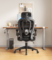 Chaise de bureau ergonomique en maille pour la maison, le bureau et les e-sports - Accoudoirs réversibles, réglable en hauteur, pivotante