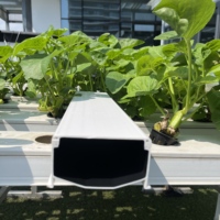 Canal hydroponique NFT 100 % occultant et isolant thermiquement, anti-algues, pour l'agriculture commerciale de la laitue