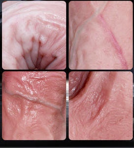 骨型ディルド 女性用オナニーグッズ ソフトな肌触り リアルなシリコン製 大人のおもちゃ 女性向け - Product Image 5