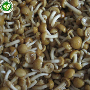 Замороженные грибы плавертус ostreatus для здорового питания IQF - Product Image 2