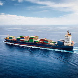 LCL الشحن البحري من شنغهاي إلى الولايات المتحدة الأمريكية خدمة DDU مع وكيل الشحن البحري بما في ذلك عنصر النقل بالشاحنات - Product Image 6