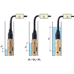Mesure du niveau de liquide, piezomètre pour puits d'eau - Product Image 5