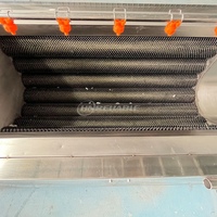 Roestvrijstalen wortelgroente-fruit-taro-gember-aardappel schilmachine met hoge capaciteit automatische rolborstelwassing