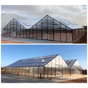 G-MORE Reinforced Multi Span Commercial <strong>Greenhouse</strong> <strong>for</strong> Garden Centre 10MM Gewachshaus 12x7 Meters - Product Image 2