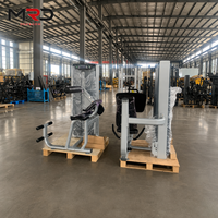 Máquina Comercial de Extensión Lumbar Selectorizada para Entrenamiento de Fuerza en Gimnasios y Clubes de Fitness