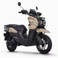 Vélo Électrique Deux Places 2000W TAKE à Grande Vitesse, Scooter Électrique à Batterie pour Adultes - Offre Spéciale