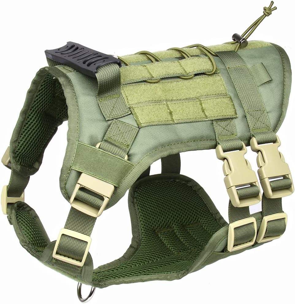 กองทัพสีเขียว