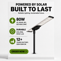 Lampe solaire LED de rue étanche IP66 80W, boîtier en aluminium, contrôleur MPPT, éclairage routier extérieur, économie d'énergie