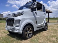 2025 nouvelle Mini voiture utilitaire électrique 2 places Coco véhicule avec approbation CEE RHD caméra arrière à direction gauche prix pour adultes Chine