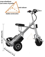 Tricycle électrique pliable à 3 roues avec batterie au lithium sans balais, scooter pour seniors 250W 36V, mini, léger, avec panier et batterie amovible