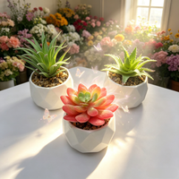 Set Tanaman Sukulen Buatan Dekorasi Rumah 3pcs Aneka Sukulen Palsu Hijau Pink PE Tampilan Alami Pot Kecil