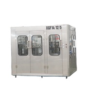 Ligne de production complète et automatique d'eau minérale et de boissons avec machine de mise en bouteille en verre à haute productivité