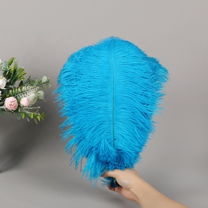 Bán buôn trực tiếp từ nhà máy lông đà điểu nhuộm màu 40-45cm, nhiều màu sắc, dùng cho trang trí tiệc, đèn, thủ công, tường, đám cưới - Product Image 5