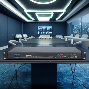 <span class=keywords><strong>2</strong></span> Kanalen Volledig Automatische Feedback Suppressor Pick-Up Enhancer Anti-Howling Voor Conferentie Microfoon Voor Vergaderruimte - Product Image 5